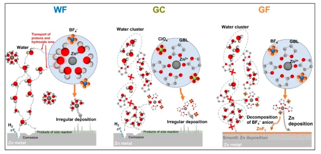 ?ACS Nano：陽離子溶劑重組和氟化中間相的協(xié)同作用實現(xiàn)鋅金屬負極的高可逆性