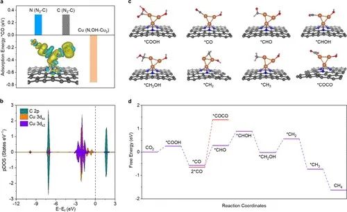 多單位合作，最新JACS！銅基催化劑電催化CO2制甲烷的新發(fā)現(xiàn)