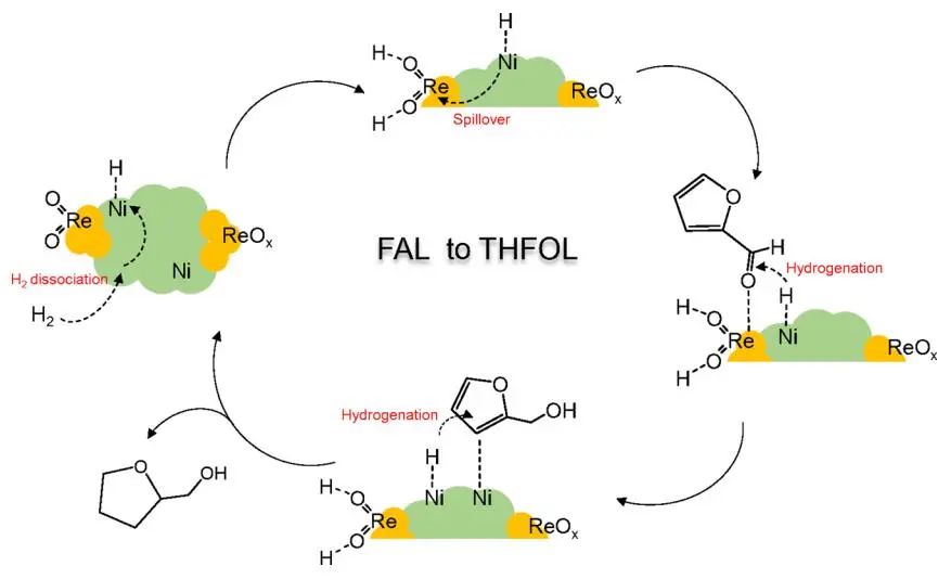 聶仁峰/張躍興ACS Catalysis：Ni-ReOx表面協(xié)同促進(jìn)糠醛溫和加氫制四氫糠醇