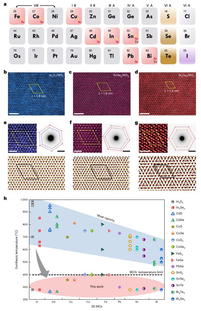 投稿到接收僅半年！廣工大黃少銘課題組最新Nature Nanotechnology！