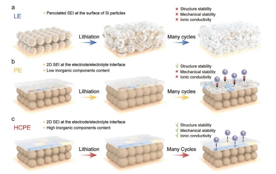 ?大連化物所AEM：高濃度聚合物電解質構建高可逆硅負極二維固體電解質界面