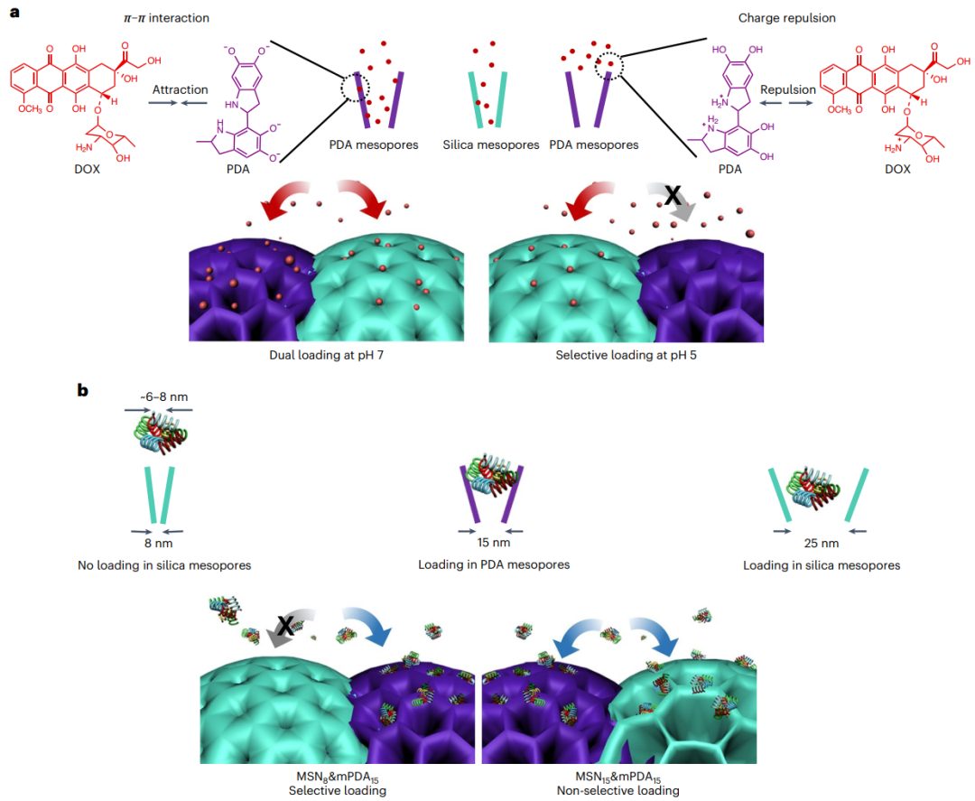 復旦大學李曉民/趙東元院士，今日Nature Chemistry！這個介孔結(jié)構(gòu)美翻了！