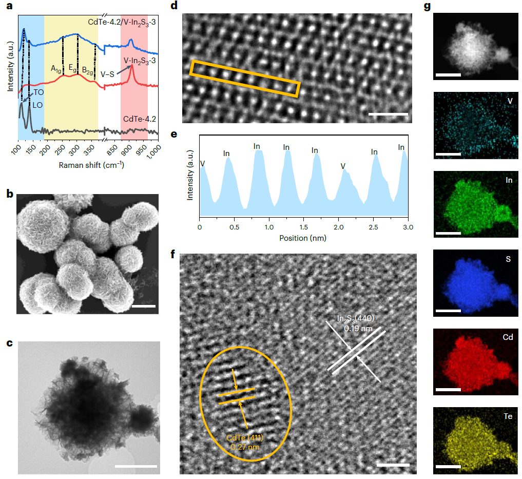 他，最新Nature Energy！一個(gè)月內(nèi)共發(fā)三篇Nature子刊！