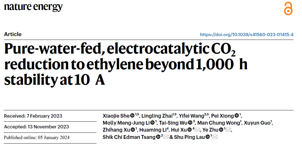 香港理工大學(xué)，最新Nature Energy！