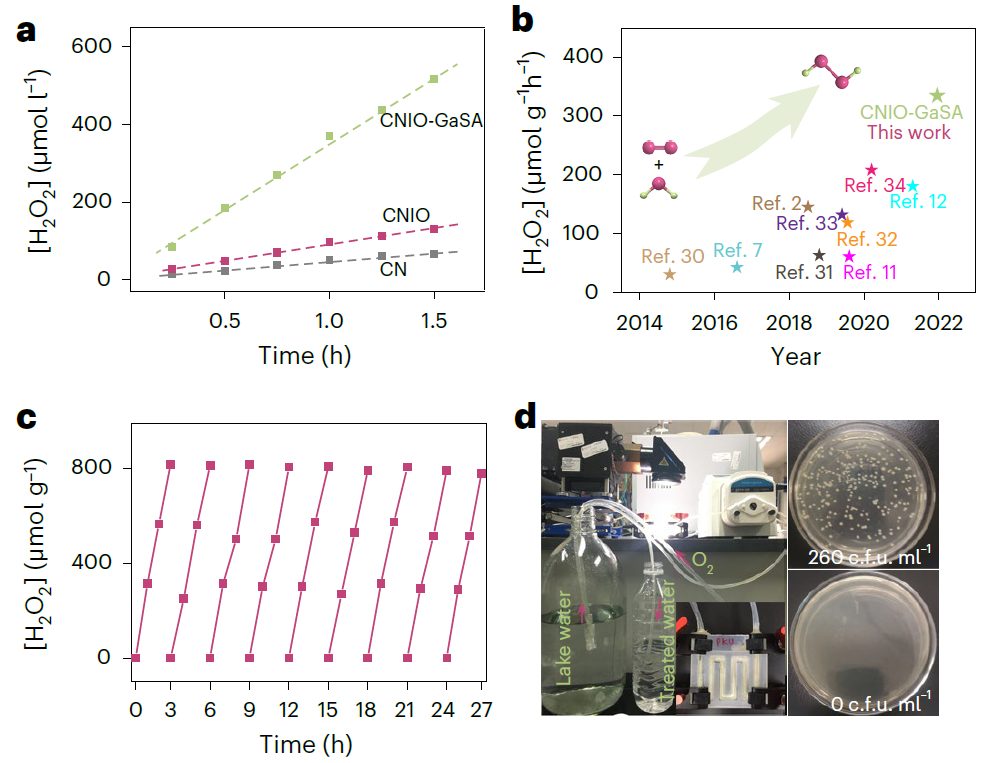 北大郭少軍教授，最新Nature Synthesis！