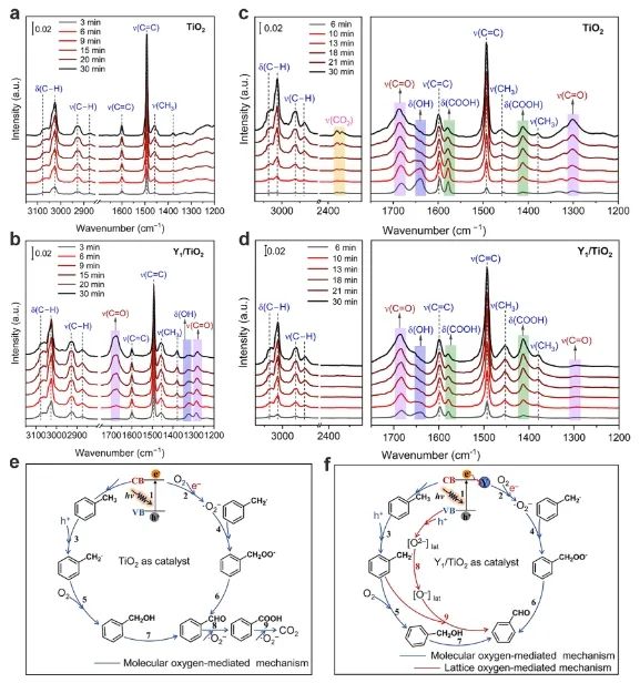 段昊泓/徐明ACS Catalysis：Y1/TiO2上分子氧和晶格氧同時活化，顯著促進甲苯氧化為苯甲醛