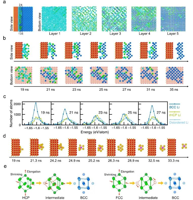 新發(fā)現(xiàn)！馬里蘭大學(xué)Nature子刊：從原子層級(jí)理解鋰在固態(tài)界面處的結(jié)晶原理