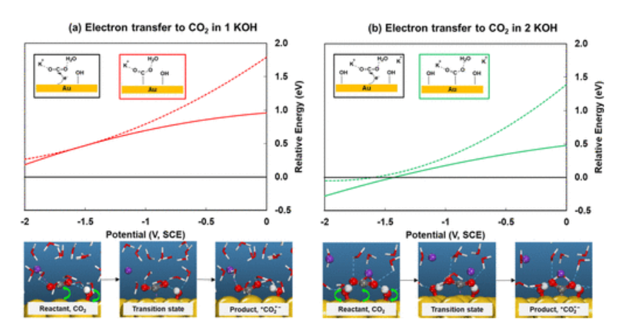 【計算文獻(xiàn)解讀】ACS Catalysis：KOH濃度的影響和OH–在CO2電催化還原中的作用