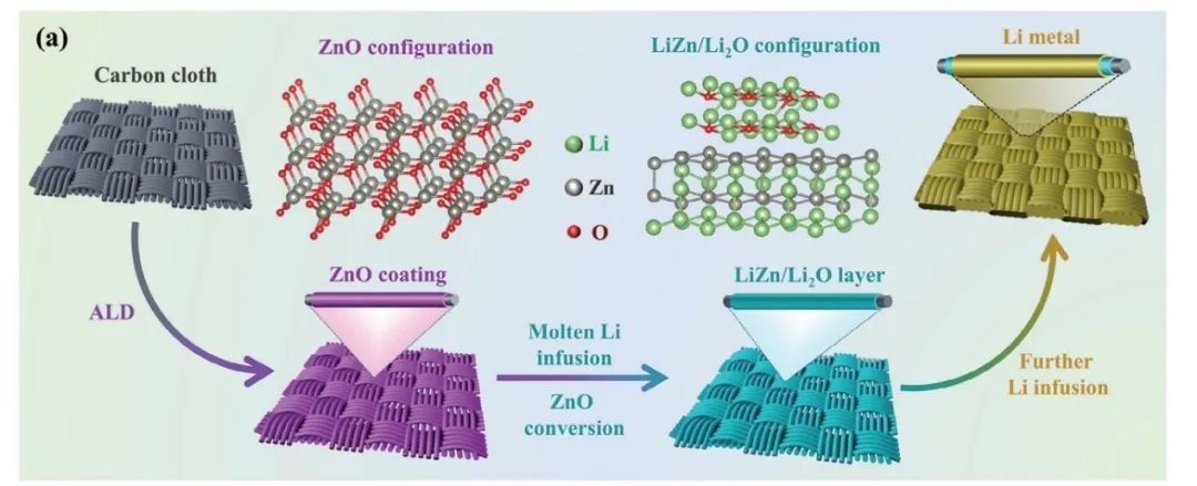 ?西安理工李喜飛AFM：LiZn/Li2O 誘導(dǎo)化學(xué)限制實(shí)現(xiàn)無枝晶鋰金屬負(fù)極