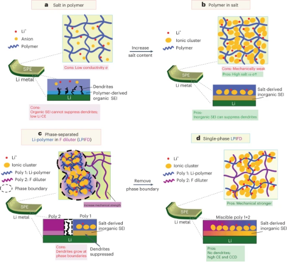 【DFT+實(shí)驗(yàn)】王春生團(tuán)隊(duì)重磅NE：局部高濃聚合物固體電解質(zhì)