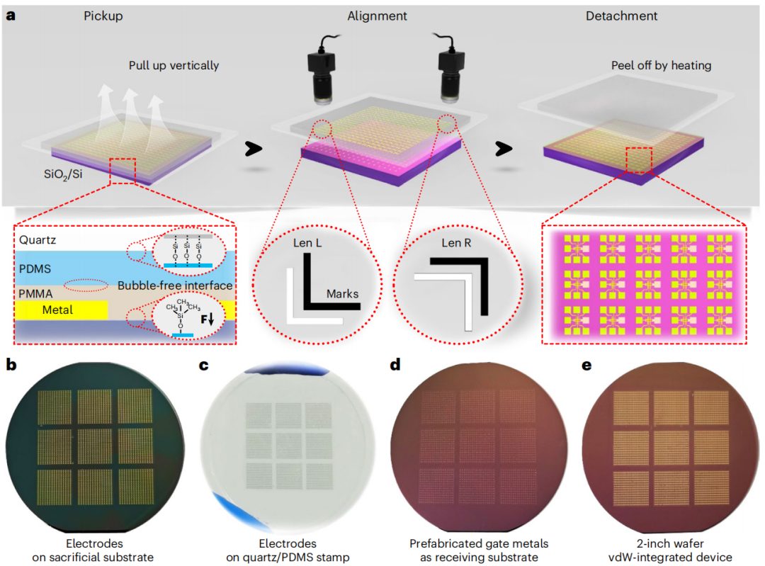 強(qiáng)強(qiáng)聯(lián)合！湖大段曦東教授&劉淵教授，今日Nature Nanotechnology！