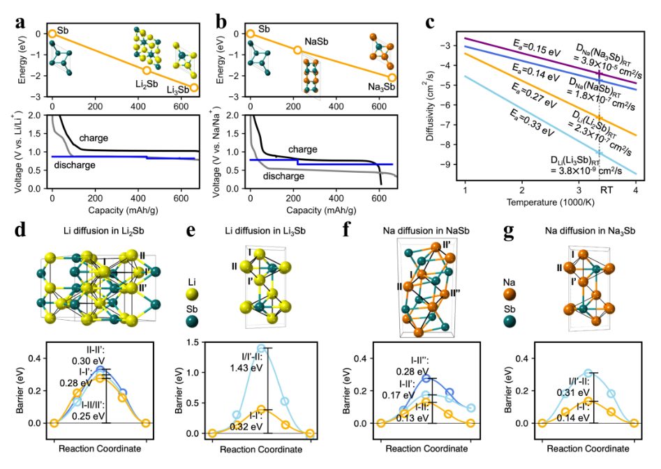 【DFT+實(shí)驗(yàn)】Angew：為什么銻負(fù)極在鈉電比鋰電中表現(xiàn)更好？