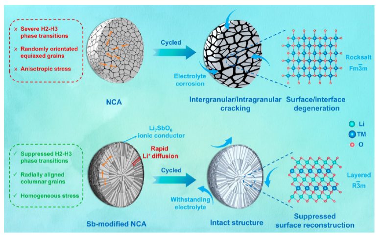 【DFT+實(shí)驗(yàn)】紀(jì)效波教授ACS Nano：高性能超高鎳層狀正極的多尺度晶體場(chǎng)效應(yīng)