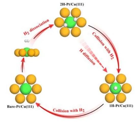 福州大學(xué)Angew：Pt/Cu(111) 單原子合金上的持續(xù)氫溢出，氣體誘導(dǎo)化學(xué)過(guò)程的動(dòng)態(tài)見(jiàn)解