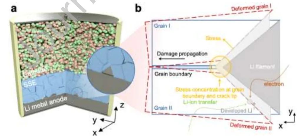 西交EnSM：晶粒尺寸和晶界強度在多晶固態(tài)電解質(zhì)電化學(xué)-機械失效中的主導(dǎo)作用