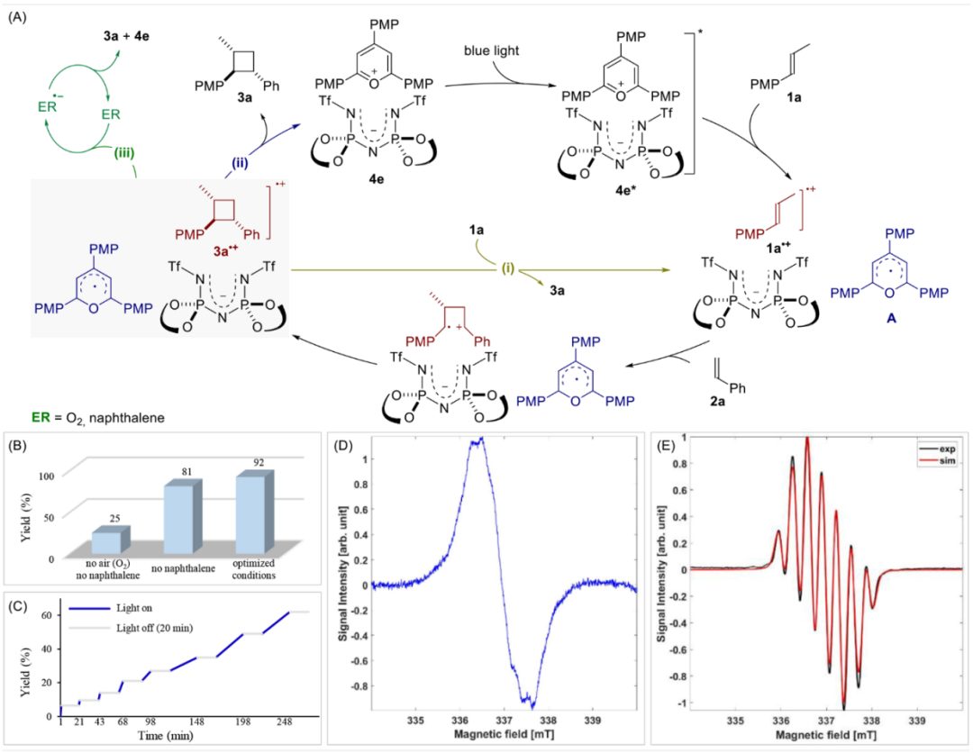 他，諾獎(jiǎng)得主，開創(chuàng)第三種催化劑，今日再發(fā)Science！