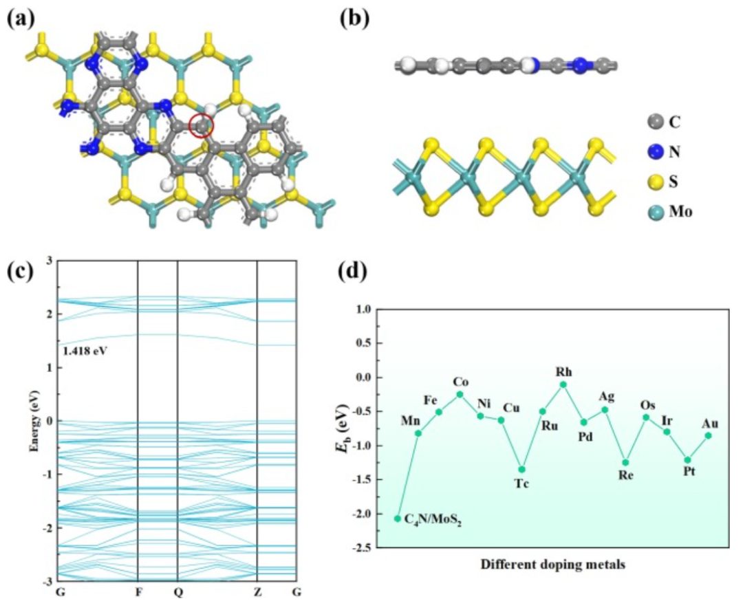 【純計算】J. Colloid Interf. Sci.：用于促進氧還原、析氧和析氫的單過渡金屬修飾C4N/MoS2異質(zhì)結構