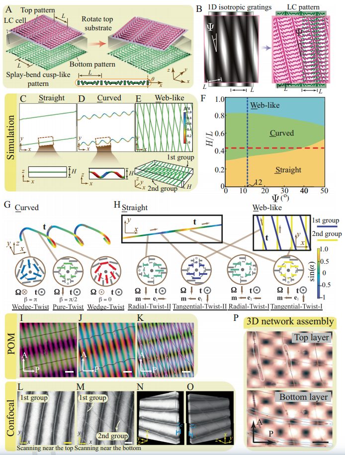 香港科大張銳課題組與中科大彭晨暉課題組合作《自然·通訊》：應(yīng)用Moiré效應(yīng)實(shí)現(xiàn)向列相液晶中拓?fù)淙毕萁Y(jié)構(gòu)的多樣化設(shè)計(jì)