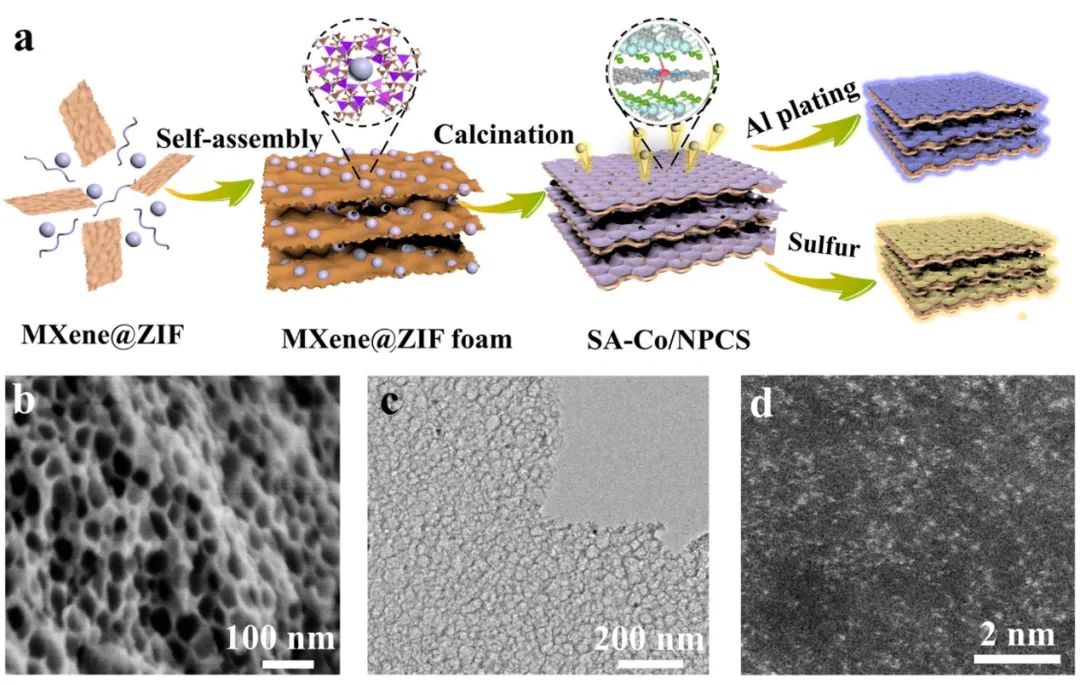 復(fù)旦余學(xué)斌ACS Energy Lett.：動態(tài)Al-O相互作用使鋁均勻沉積實(shí)現(xiàn)高性能鋁金屬電池