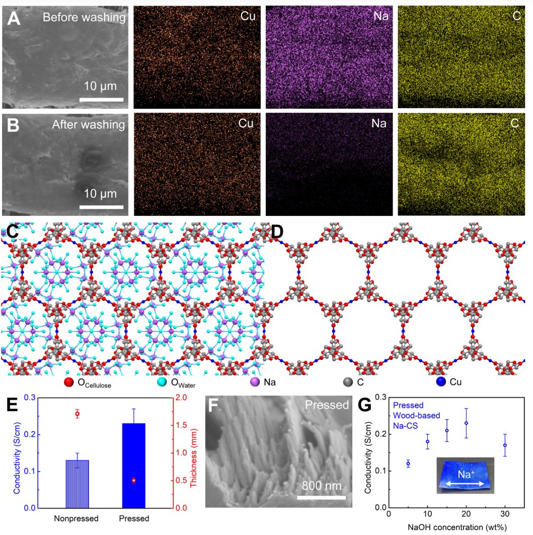 胡良兵&李恬，最新Science子刊！