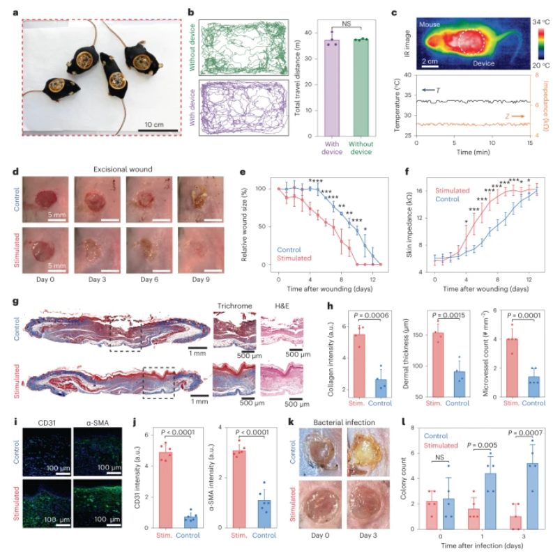 鮑哲南教授等人，最新Nature子刊！