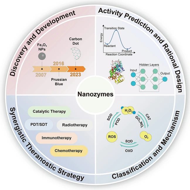 哈工程蓋世麗/楊飄萍等綜述：深入揭示納米酶的設(shè)計策略、催化機制和癌癥治療模式