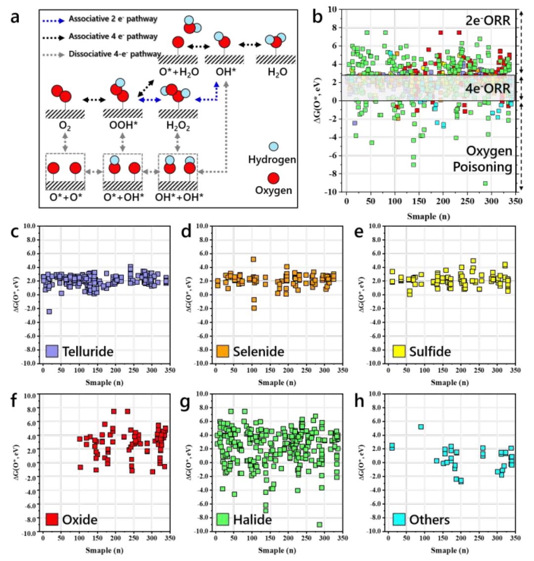 【純計(jì)算】EES：具有氧電催化活性的電化學(xué)穩(wěn)定二維材料