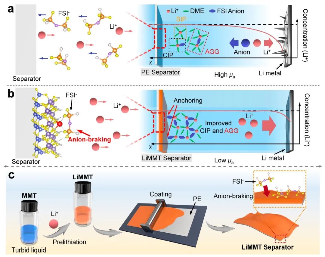 ?三單位聯(lián)合ACS Nano：構(gòu)建陰離子制動(dòng)隔膜調(diào)節(jié)局部鋰離子溶劑化結(jié)構(gòu)