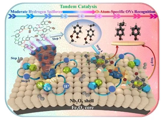 中科大/曲阜師大ACS Catalysis：Ni-Cu合金耦合氧空位，實(shí)現(xiàn)中等氫溢出以加速木質(zhì)素加氫裂化