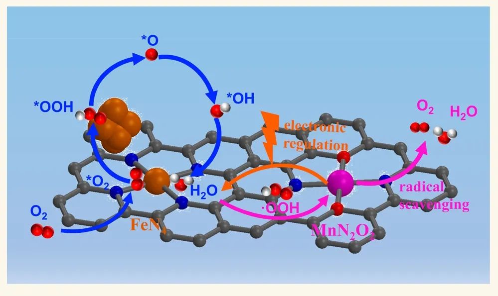 ?中南邱曉清/陳善勇ACS Nano：Mn單原子調節(jié)Fe-NC催化劑實現(xiàn)高效耐用的氧催化和鋅空氣電池