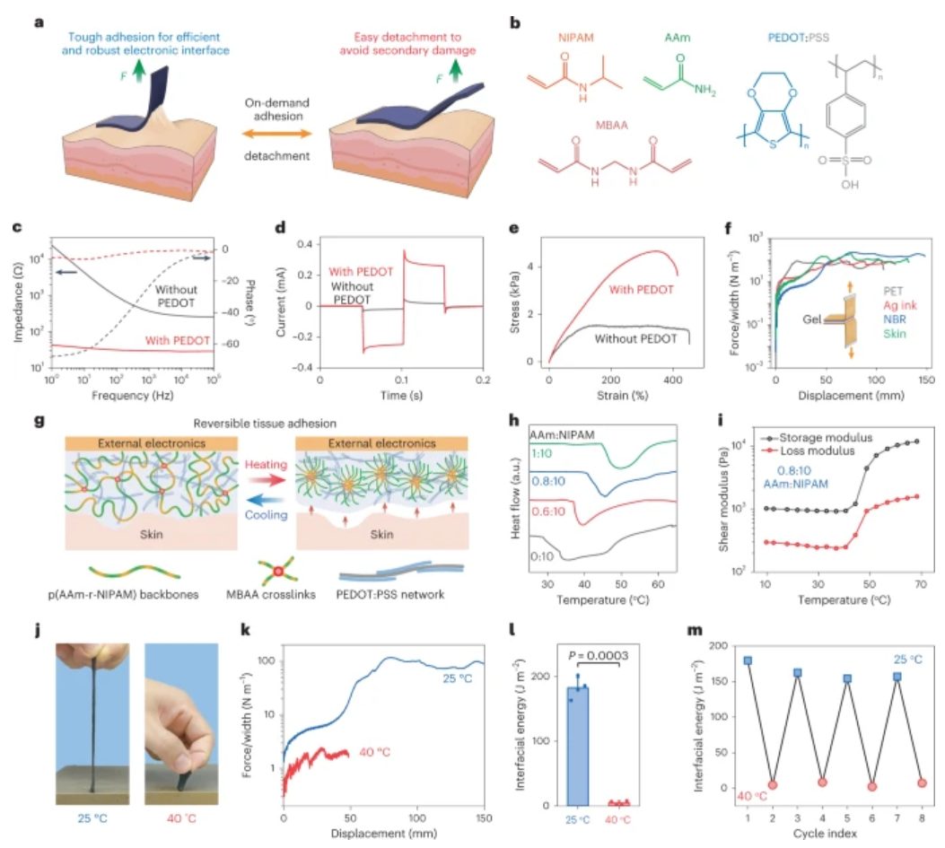 鮑哲南教授等人，最新Nature子刊！