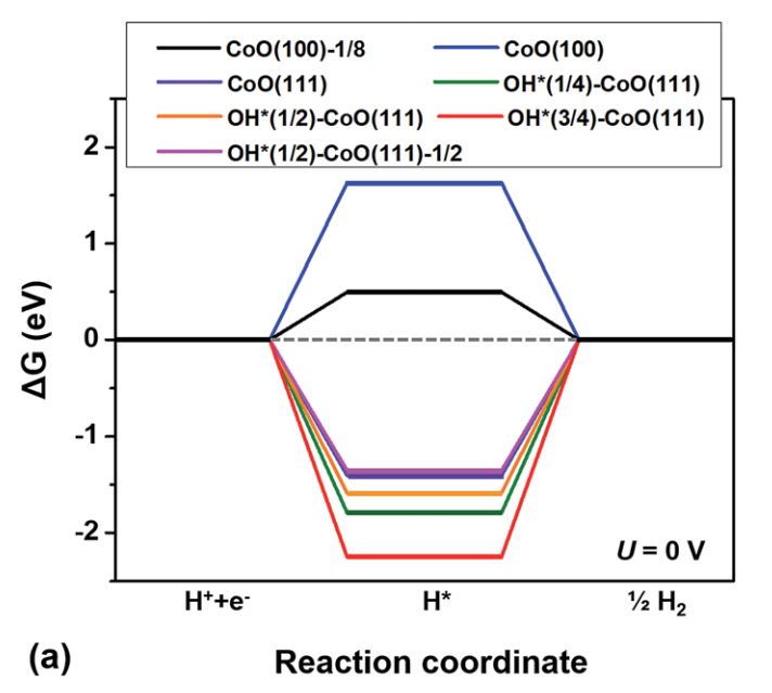 VASP金屬催化計算培訓(xùn)：熱門金屬催化劑、HER、OER/ORR、CO2RR、NO3RR、NRR、d帶中心、自由能、吸附能