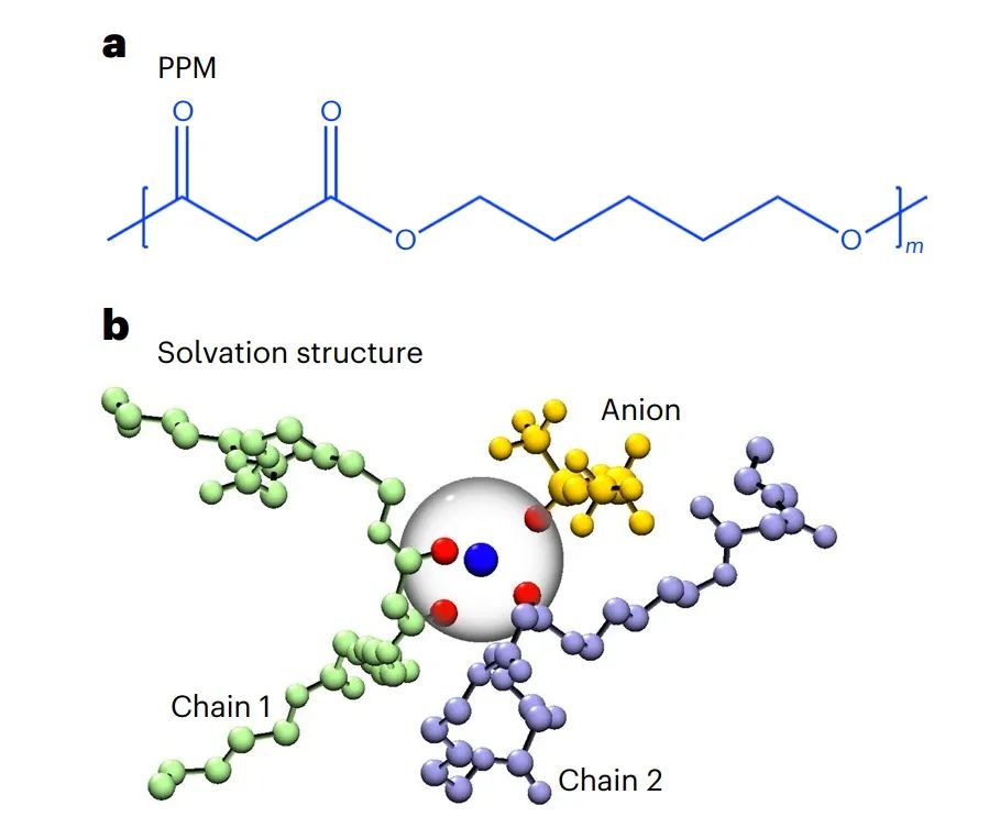 ?加州大學(xué)伯克利分校Nature Materials：鋰電池聚合物電解質(zhì)中的納秒溶劑化動(dòng)力學(xué)