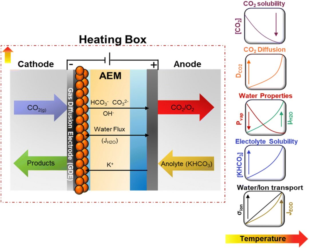 EES Catalysis: 關(guān)于高溫下零間隙電解槽中二氧化碳電解的見解！