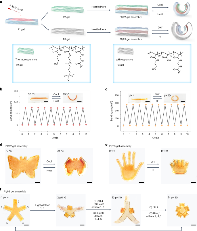 中科大，最新Nature Chemistry！