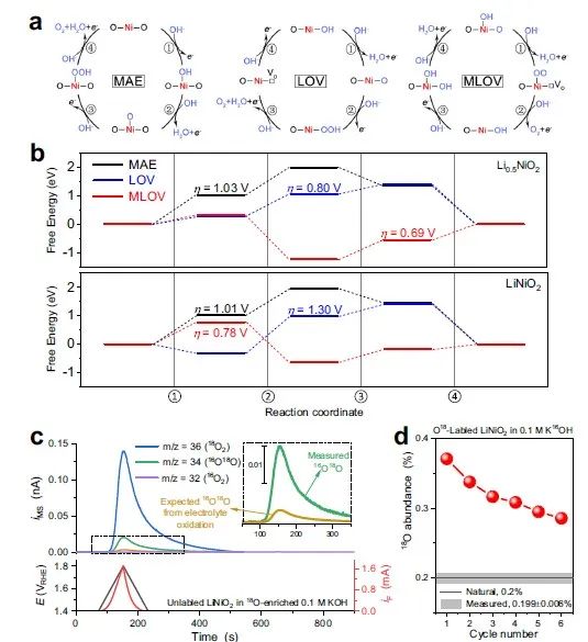 【DFT+實驗】張林娟團隊Nature子刊：雙配體空穴作為LiNiO2的催化活性位點