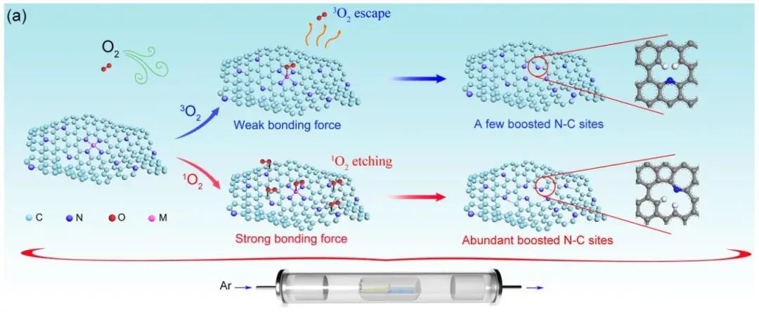 【DFT+實(shí)驗(yàn)】Angew.：1O2-N/C助力高效ORR