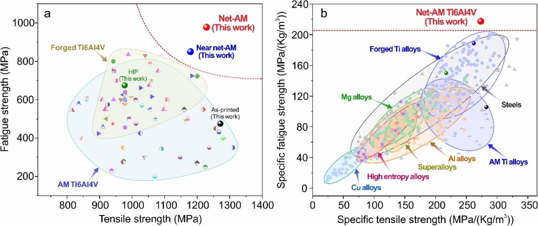 Nature：中國(guó)科學(xué)院金屬研究所張哲峰團(tuán)隊(duì)報(bào)道3D打印鈦合金超高疲勞強(qiáng)度