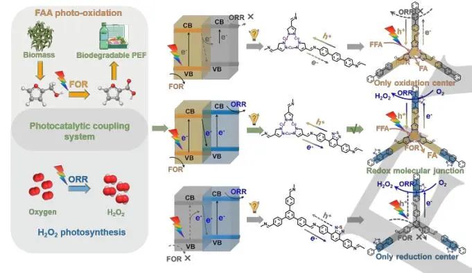 【DFT+實(shí)驗(yàn)】華南師大/南師大Angew：近100%轉(zhuǎn)化率和選擇性！Cu3-BT-COF助力H2O2光合作用和FFA光氧化