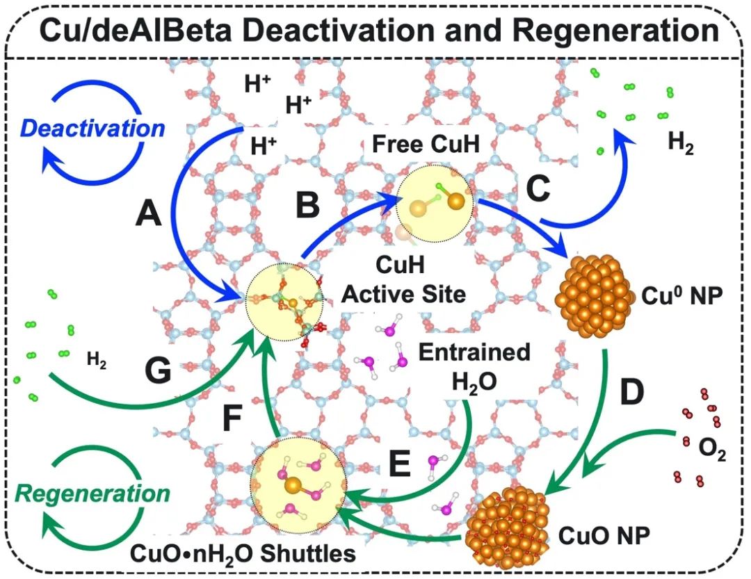 浙大李正龍教授課題組 JACS：分子篩缺陷實現銅納米顆粒再分散為單原子