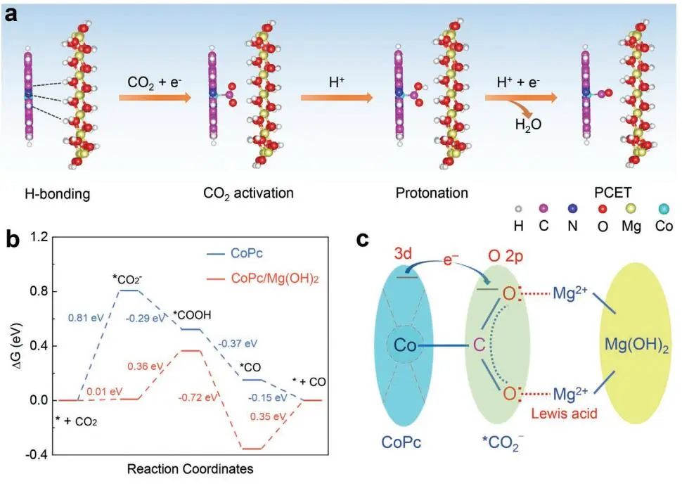 【DFT+實驗】AFM：CoPc/Mg(OH)2/NC助力CO2還原