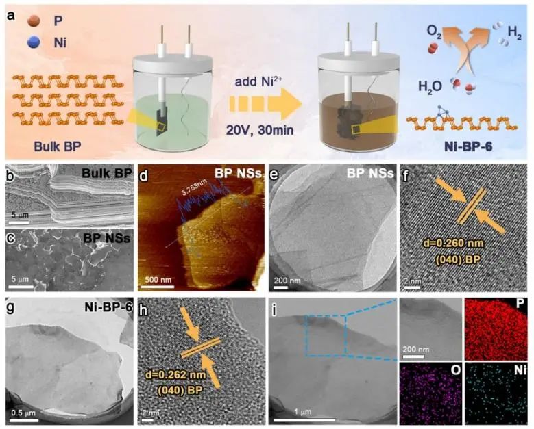 戴正飛/瞿永泉Nano-Micro Letters：低含量Ni共價(jià)鍵合黑磷納米片，實(shí)現(xiàn)電子重分布用于高效水分解