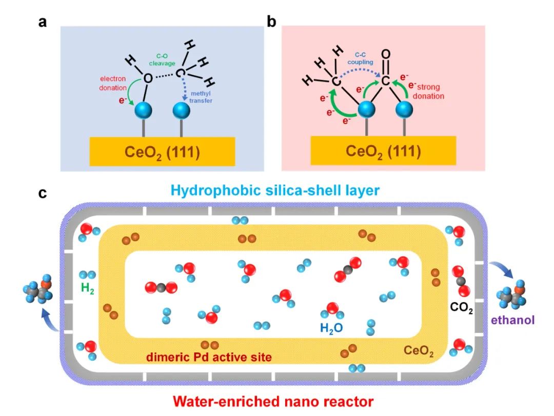 【DFT+實(shí)驗(yàn)】江南大學(xué)劉小浩團(tuán)隊(duì)：結(jié)構(gòu)封裝雙鈀位點(diǎn)-“蓄水”膜反應(yīng)器”助力CO2一步無副反應(yīng)高效穩(wěn)定制乙醇