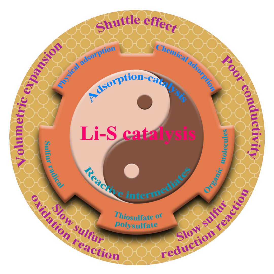 重慶大學(xué)魏子棟教授團(tuán)隊(duì)綜述：鋰硫電池中的硫正極電催化認(rèn)識(shí)