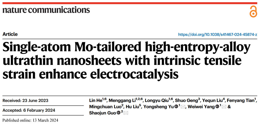 郭少軍/于永生/楊微微最新Nature子刊：單原子+高熵合金！