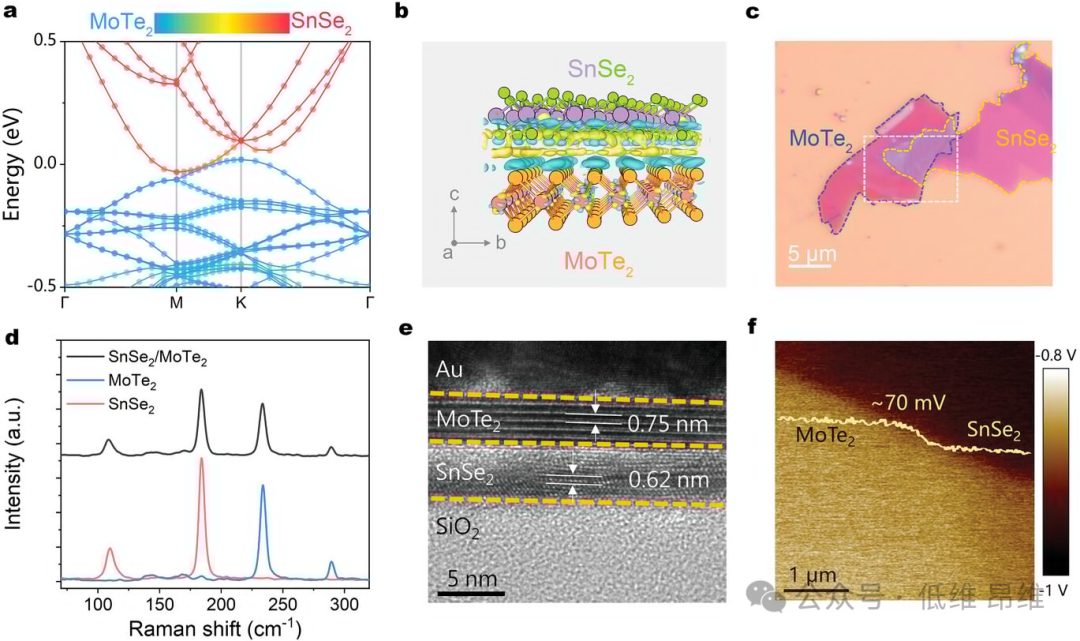 Adv. Optical Mater.：MoTe2/SnSe2異質(zhì)結(jié)中的動態(tài)能帶對齊調(diào)制，用于高性能光電探測器