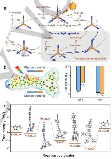 【DFT+實(shí)驗(yàn)】華南師大/南師大Angew：近100%轉(zhuǎn)化率和選擇性！Cu3-BT-COF助力H2O2光合作用和FFA光氧化