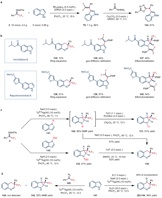 Nat Chem：東北師大畢錫和課題組基于金屬卡賓實(shí)現(xiàn)吲哚多樣性分子編輯