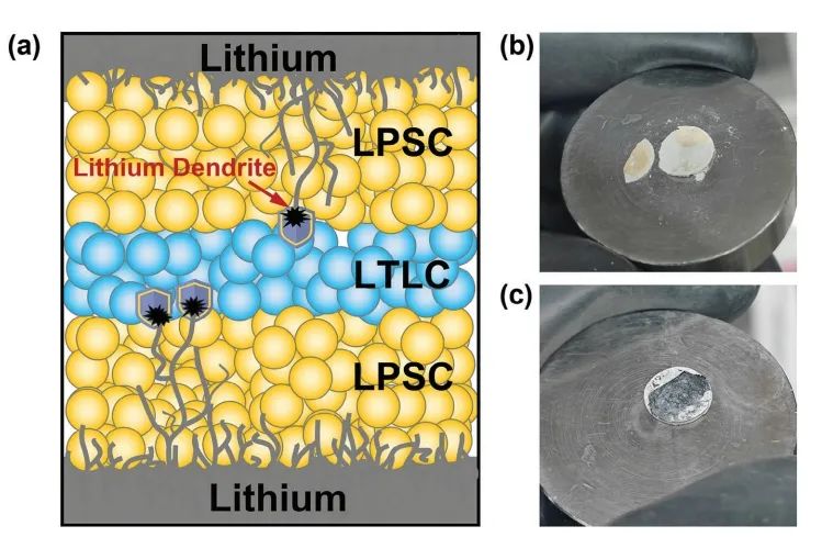 ?天大楊永安AM：LaCl3 基電解質增強 Li6PS5Cl 基固態(tài)電池