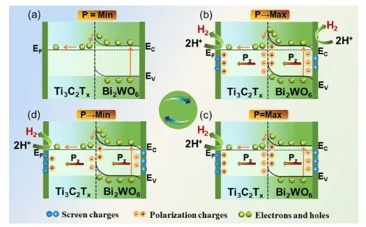 新大Nano Letters: 構(gòu)建MXene/Bi2WO6肖特基結(jié)，實(shí)現(xiàn)高效壓電催化HER